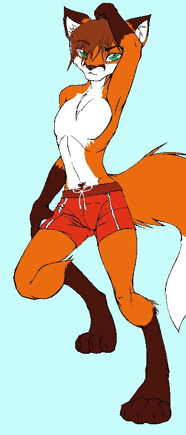 Male fox