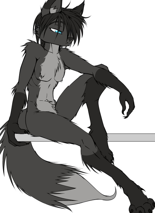 Black fox (1)